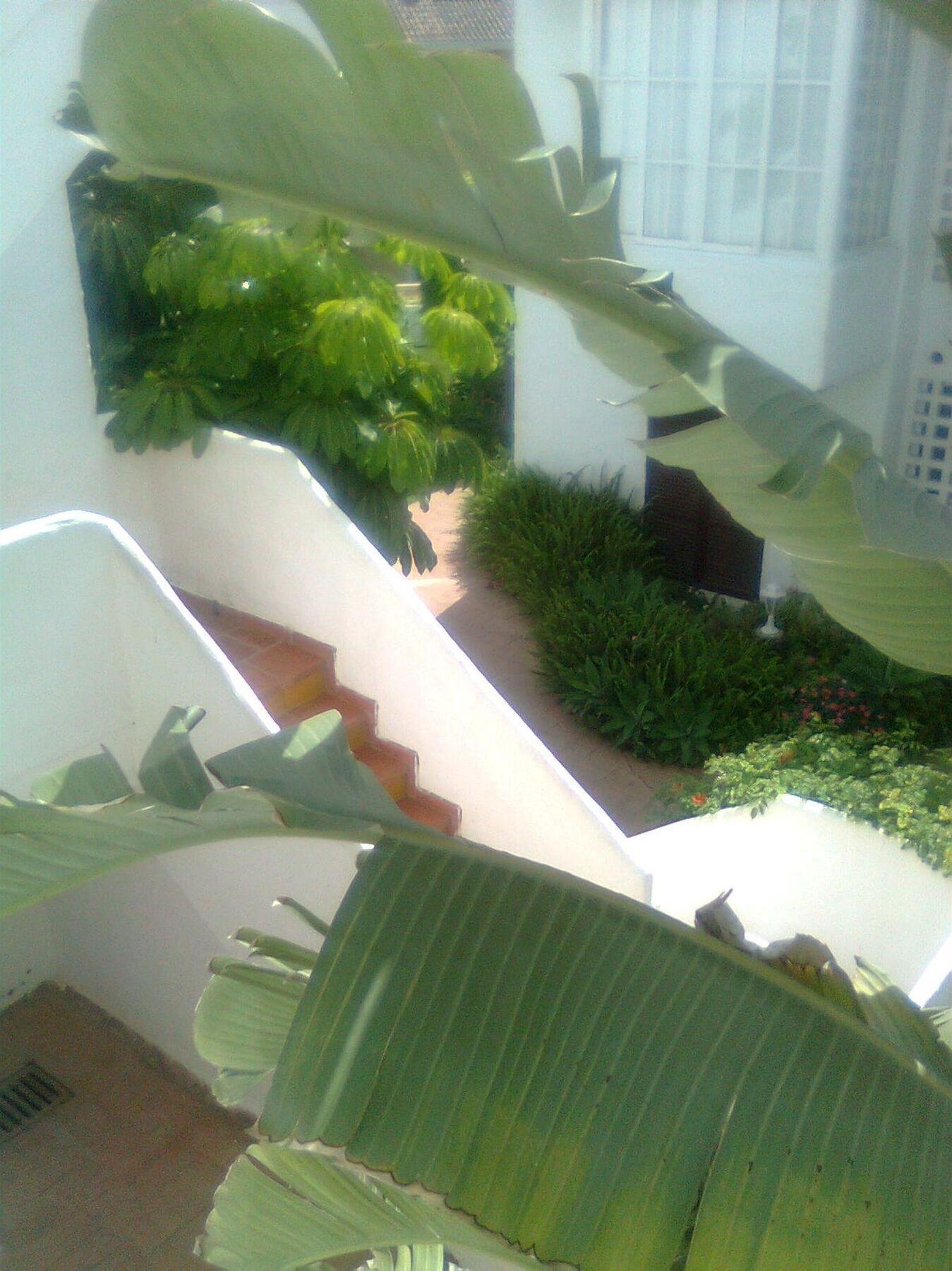 Apartment With 2 Rooms In Estepona, With Pool Access And Furnished Bal エクステリア 写真